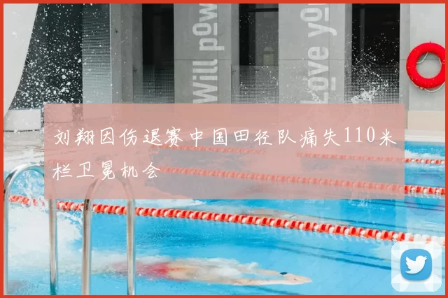 刘翔因伤退赛中国田径队痛失110米栏卫冕机会