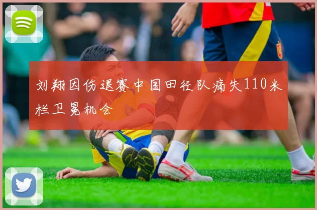 刘翔因伤退赛中国田径队痛失110米栏卫冕机会